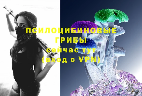 мет Кинешма