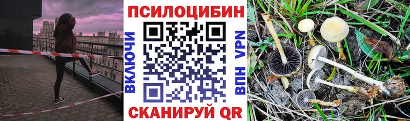 Галлюциногенные грибы Psilocybe  MEGA рабочий сайт  Микунь 